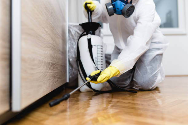 Best Bed Bug Extermination  in Washington, UT