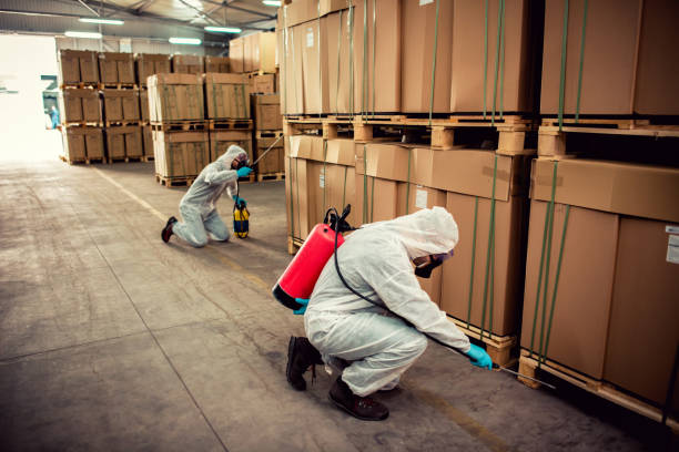 Best Emergency Pest Control  in Washington, UT