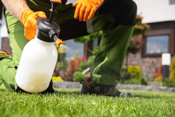 Best Mosquito Control Services  in Washington, UT