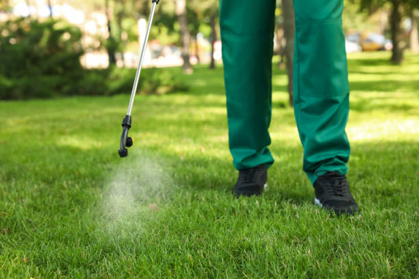 Best Termite Control Services  in Washington, UT