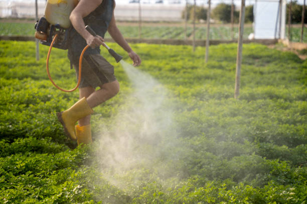Best Pest Control Near Me  in Washington, UT