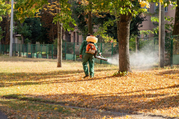 Best Best Pest Control Companies  in Washington, UT