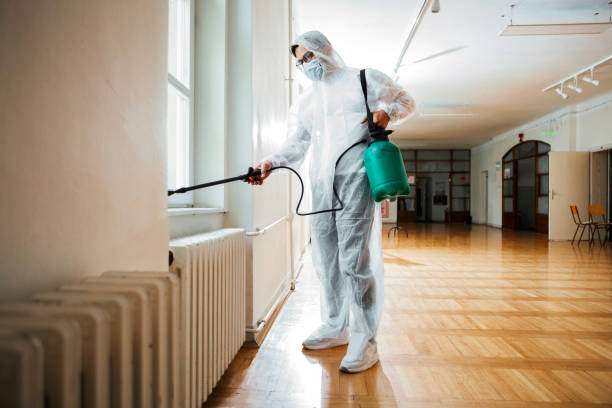 Professional Pest Control in Washington, UT